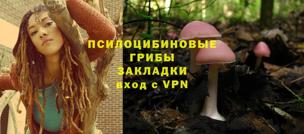твердый Алексеевка