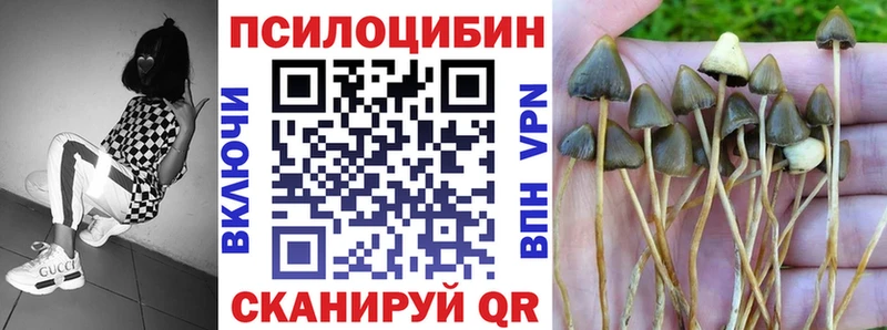 Галлюциногенные грибы мухоморы  Белорецк 