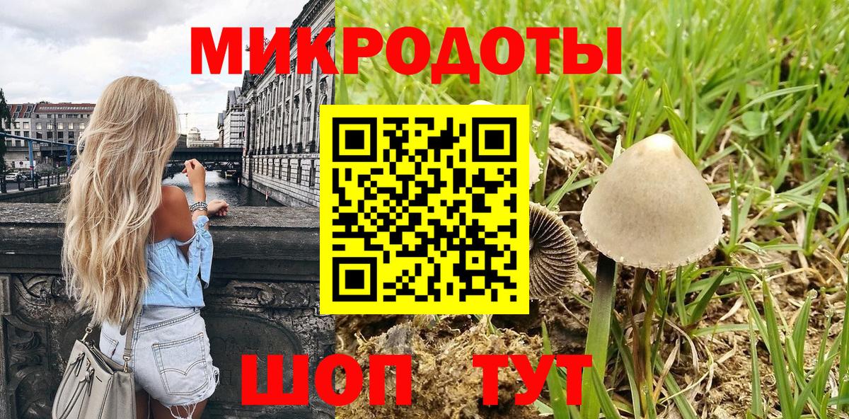 где продают наркотики  Белорецк  Галлюциногенные грибы Cubensis 